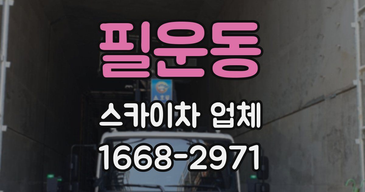 필운동 스카이차 업체