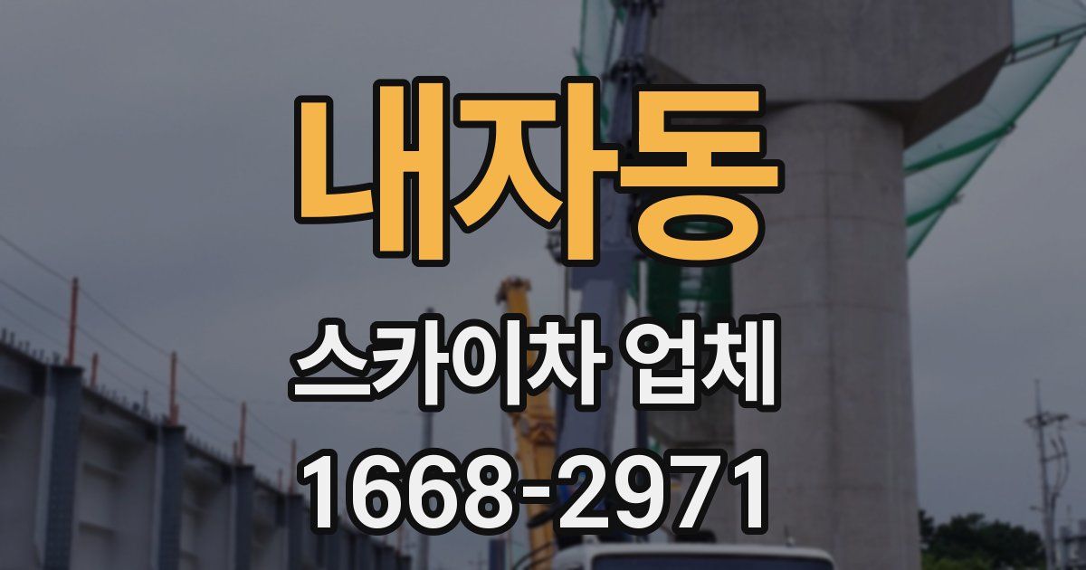 내자동 스카이차 업체