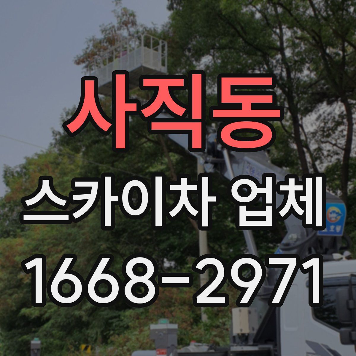 사직동 스카이차 업체