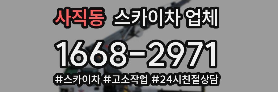사직동 스카이차 업체