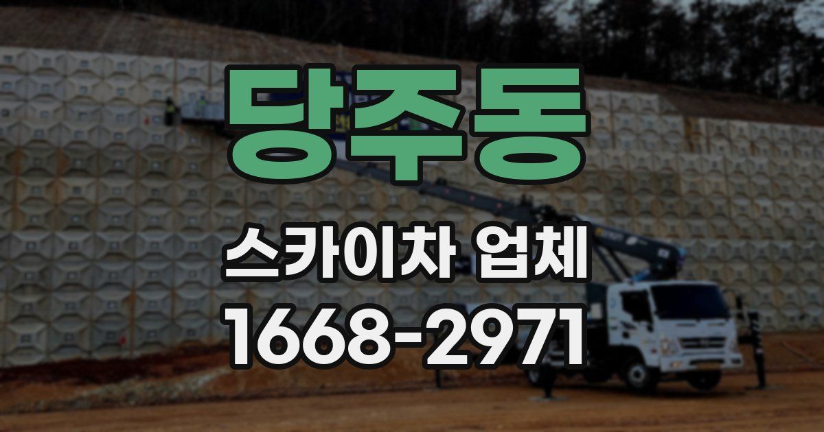 당주동 스카이차 업체