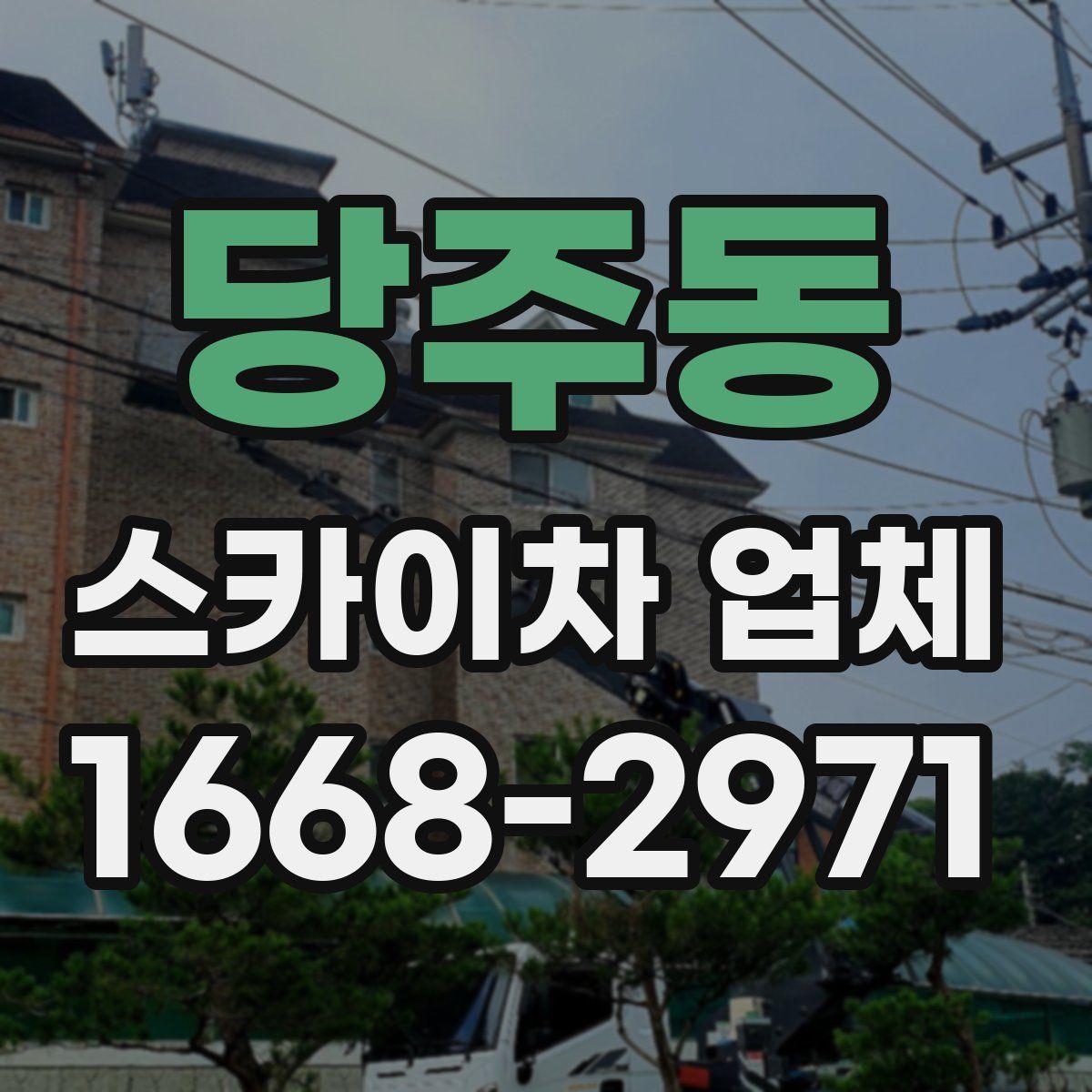 당주동 스카이차 업체