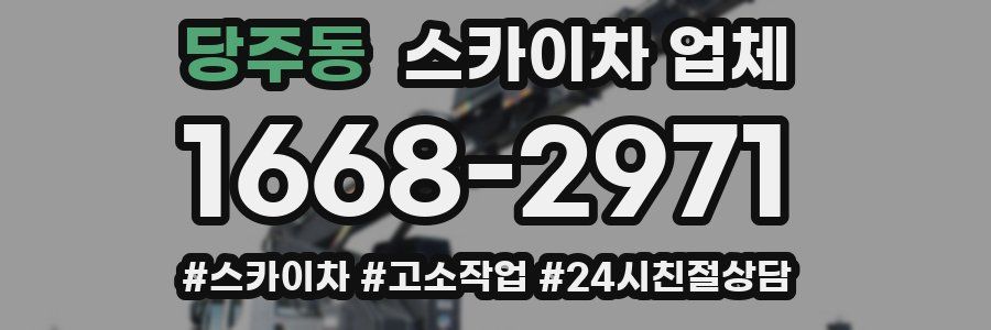 당주동 스카이차 업체