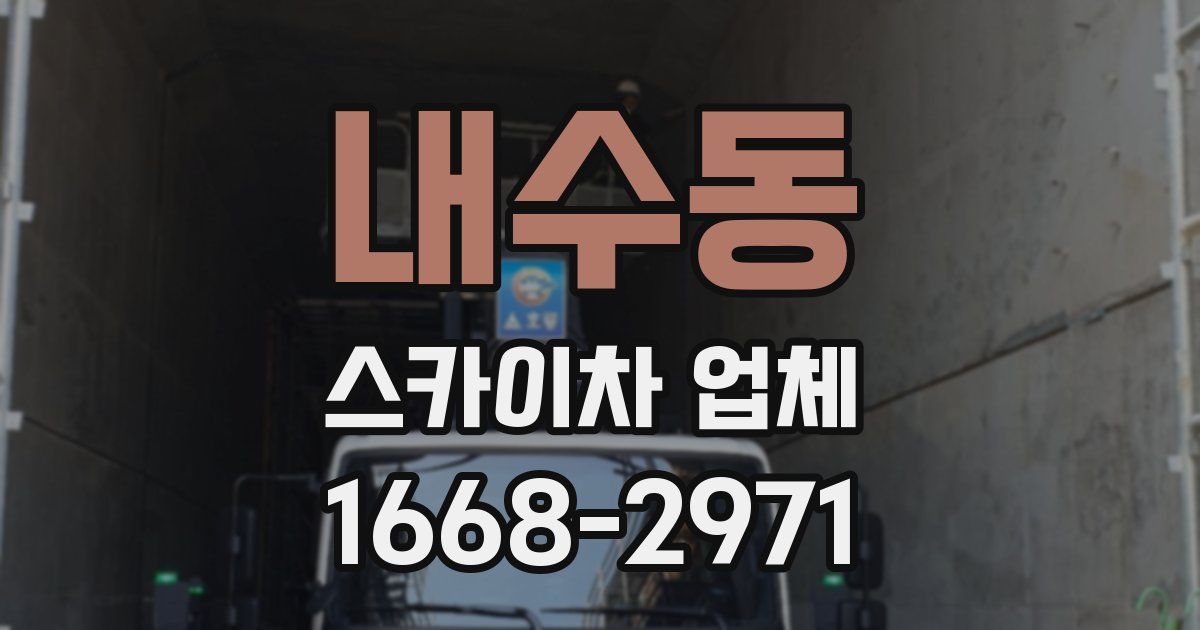 내수동 스카이차 업체