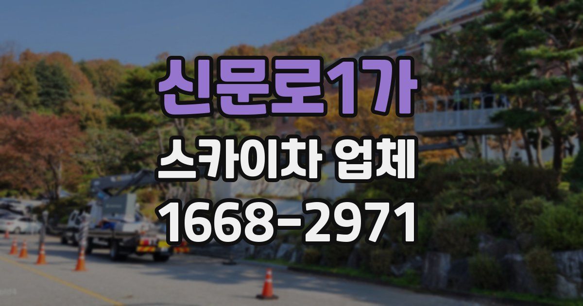 신문로1가 스카이차 업체