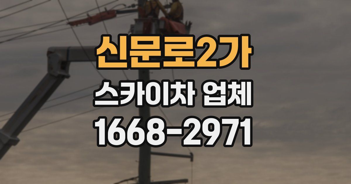 신문로2가 스카이차 업체