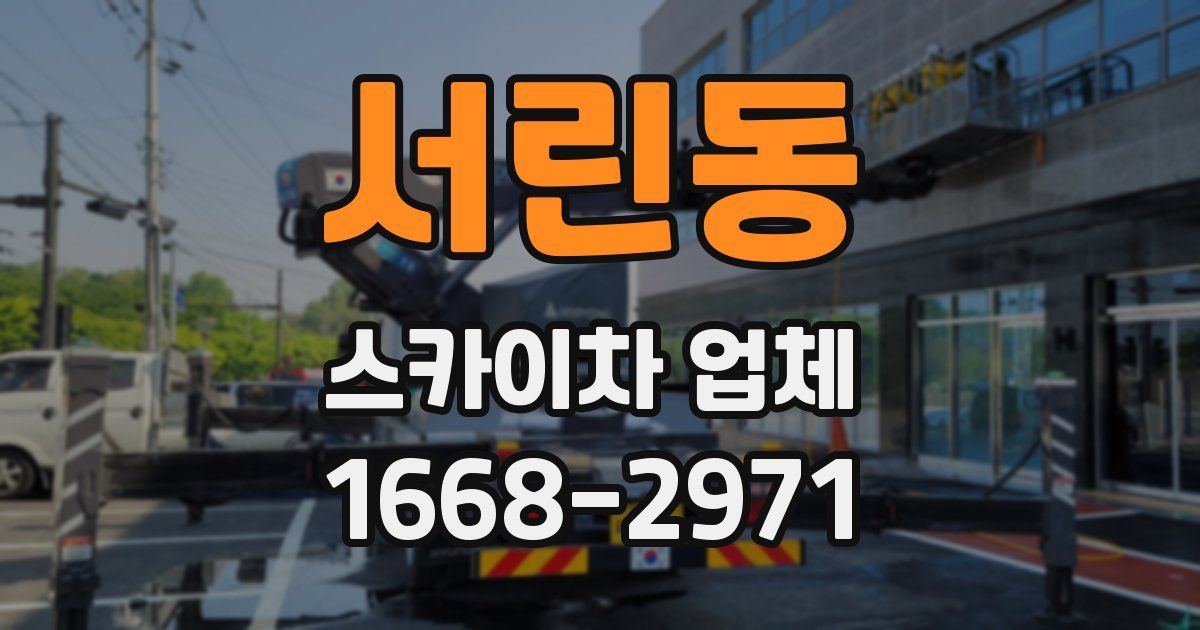 서린동 스카이차 업체