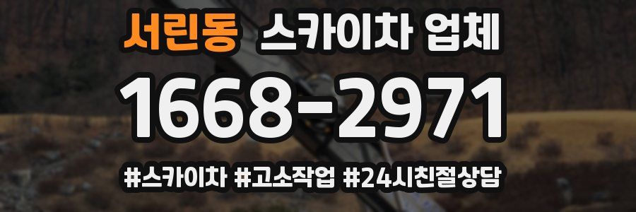 서린동 스카이차 업체