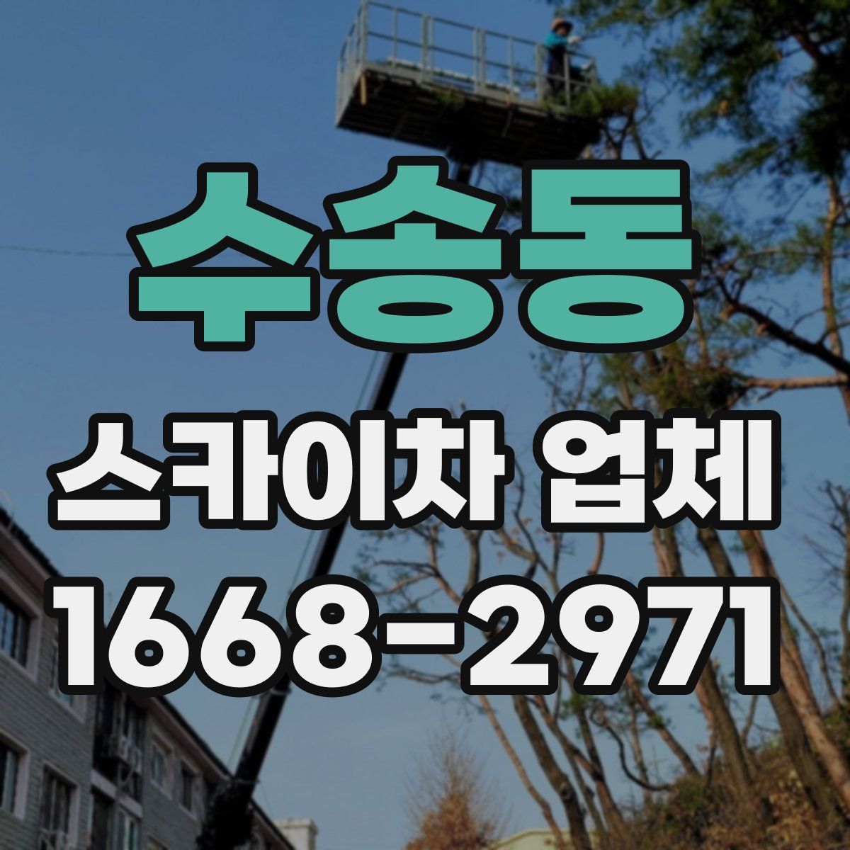 수송동 스카이차 업체