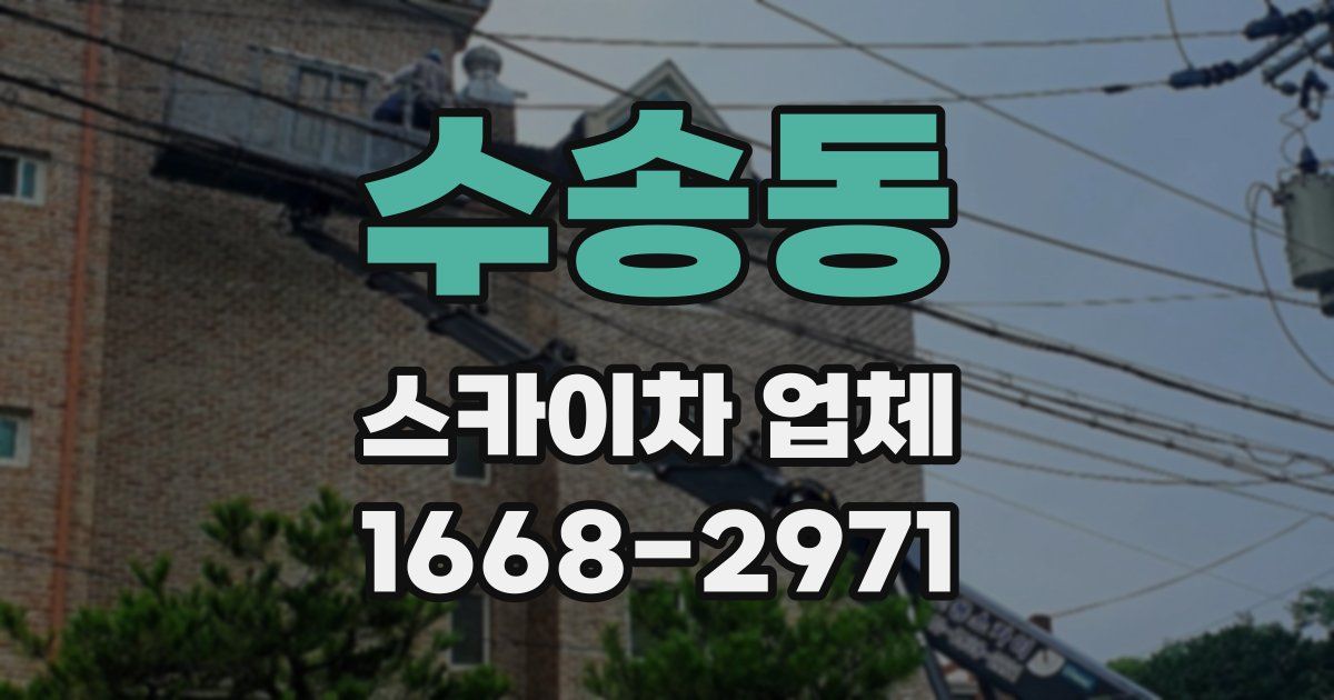 수송동 스카이차 업체