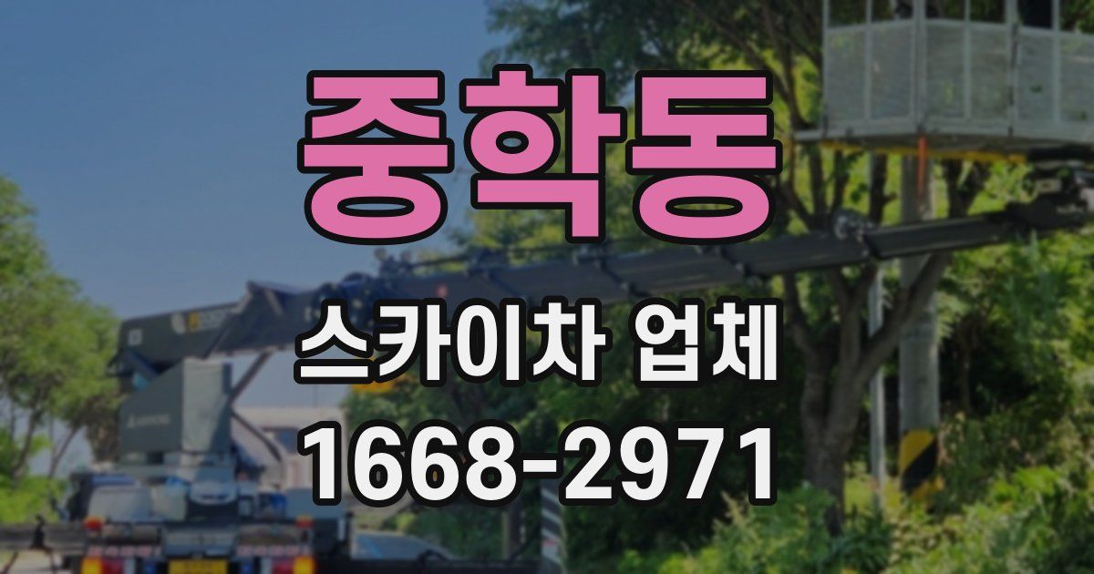 중학동 스카이차 업체