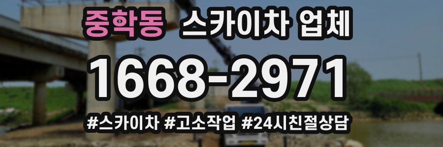 중학동 스카이차 업체