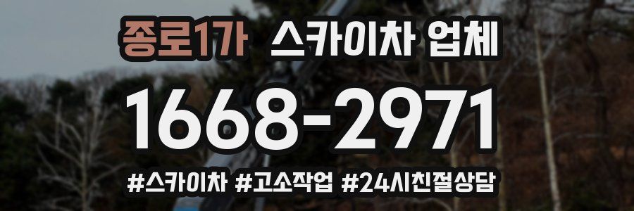 종로1가 스카이차 업체