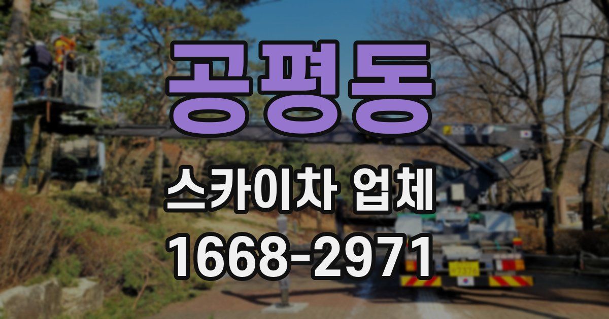 공평동 스카이차 업체