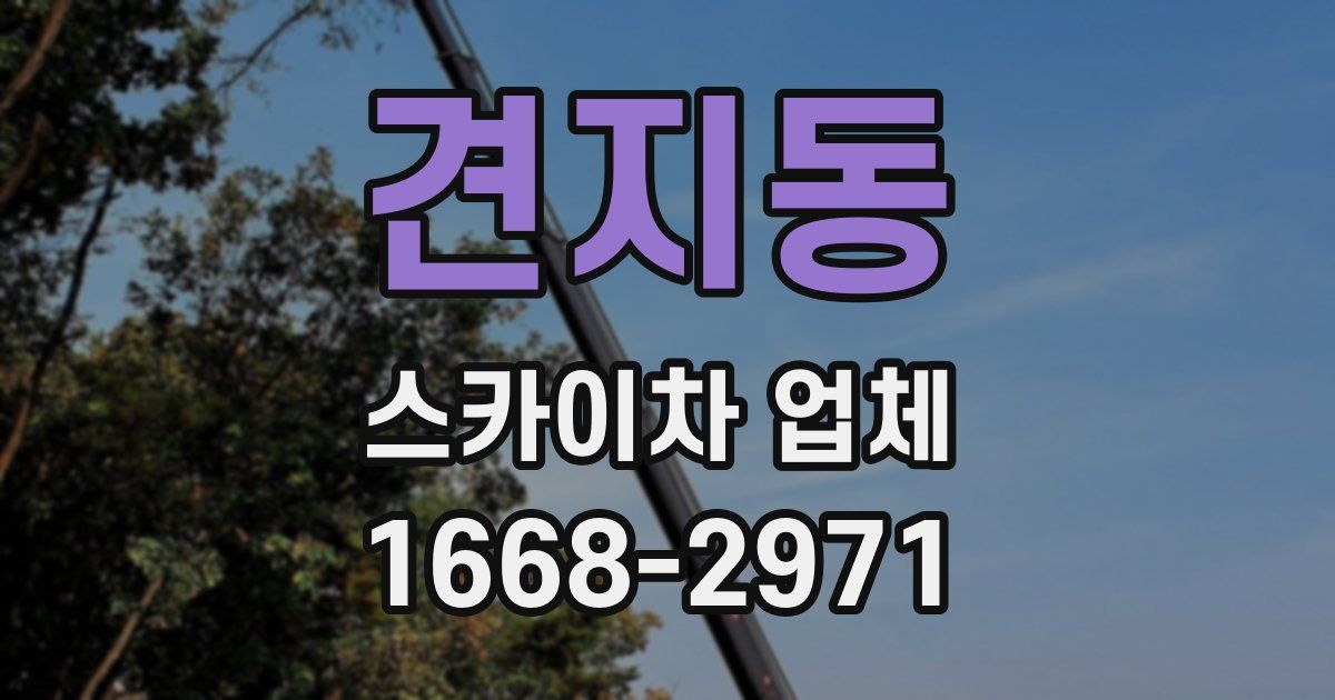 견지동 스카이차 업체