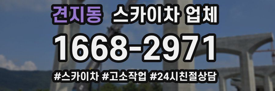 견지동 스카이차 업체