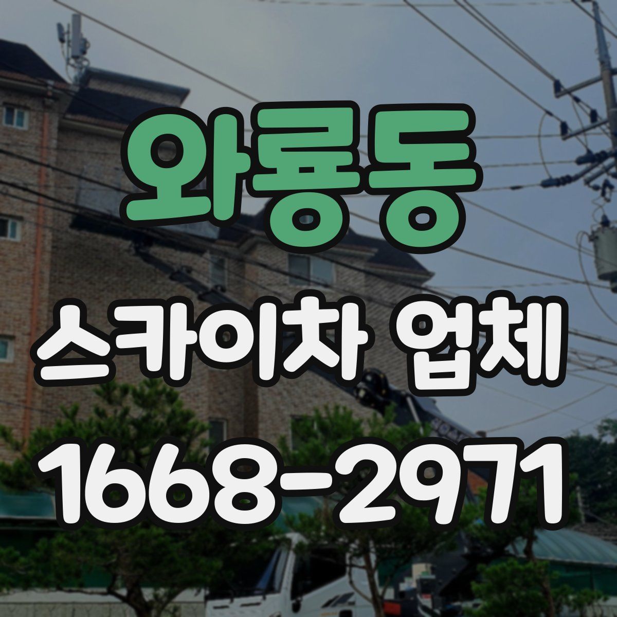와룡동 스카이차 업체