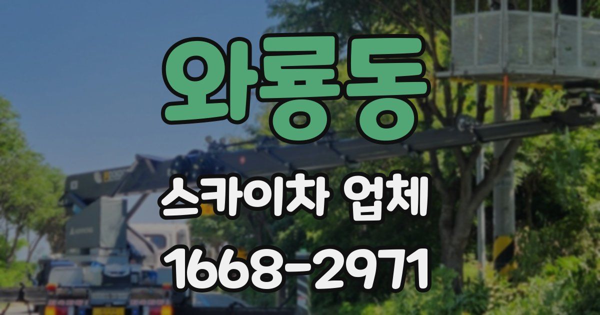 와룡동 스카이차 업체