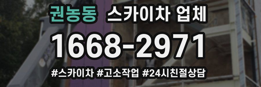 권농동 스카이차 업체