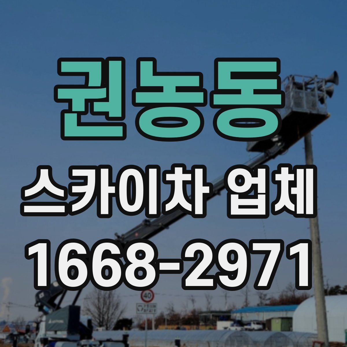 권농동 스카이차 업체
