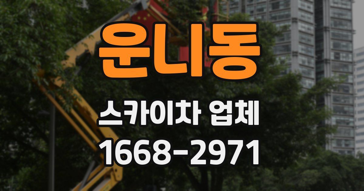 운니동 스카이차 업체
