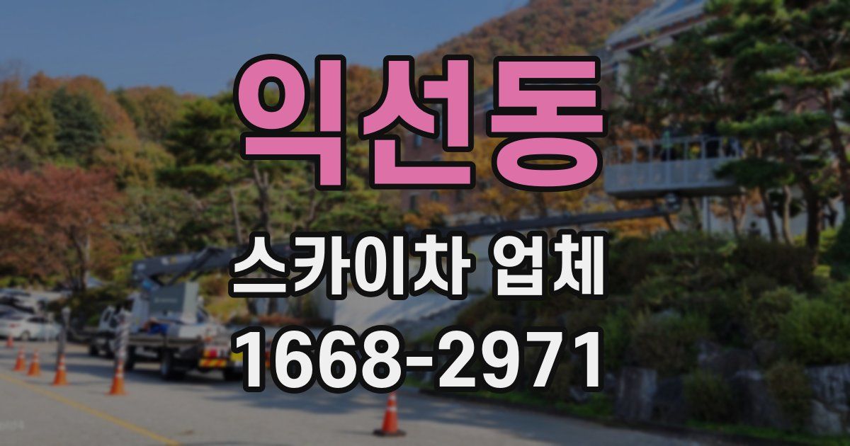 익선동 스카이차 업체