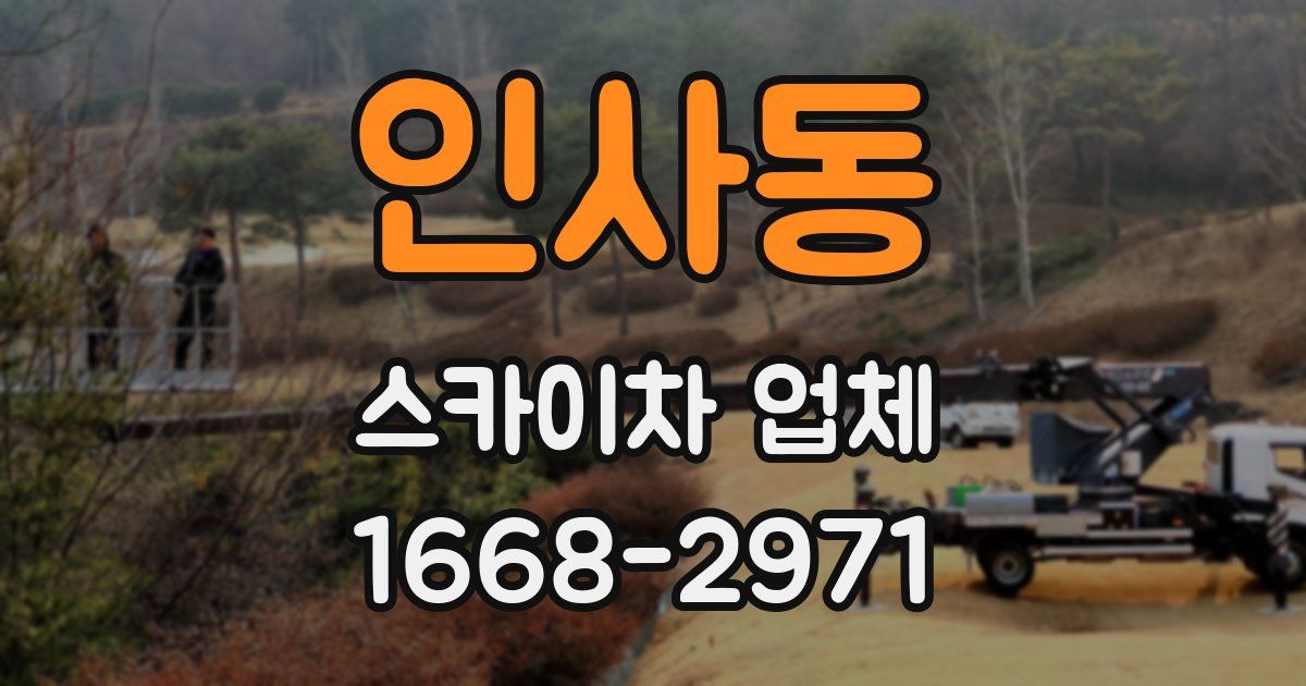 인사동 스카이차 업체