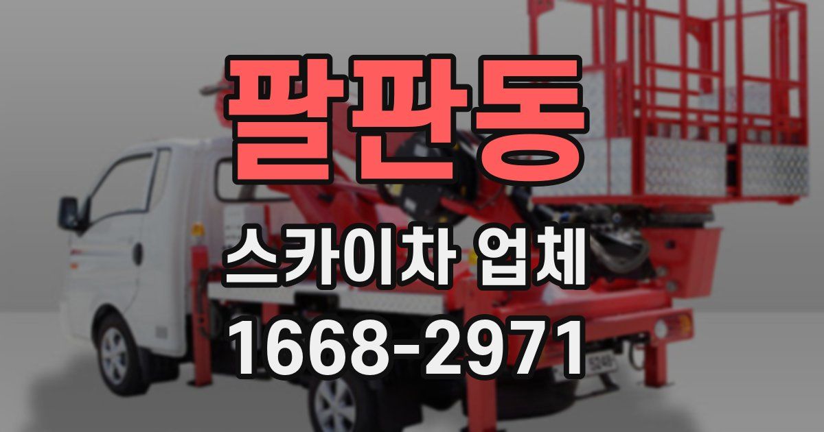 팔판동 스카이차 업체