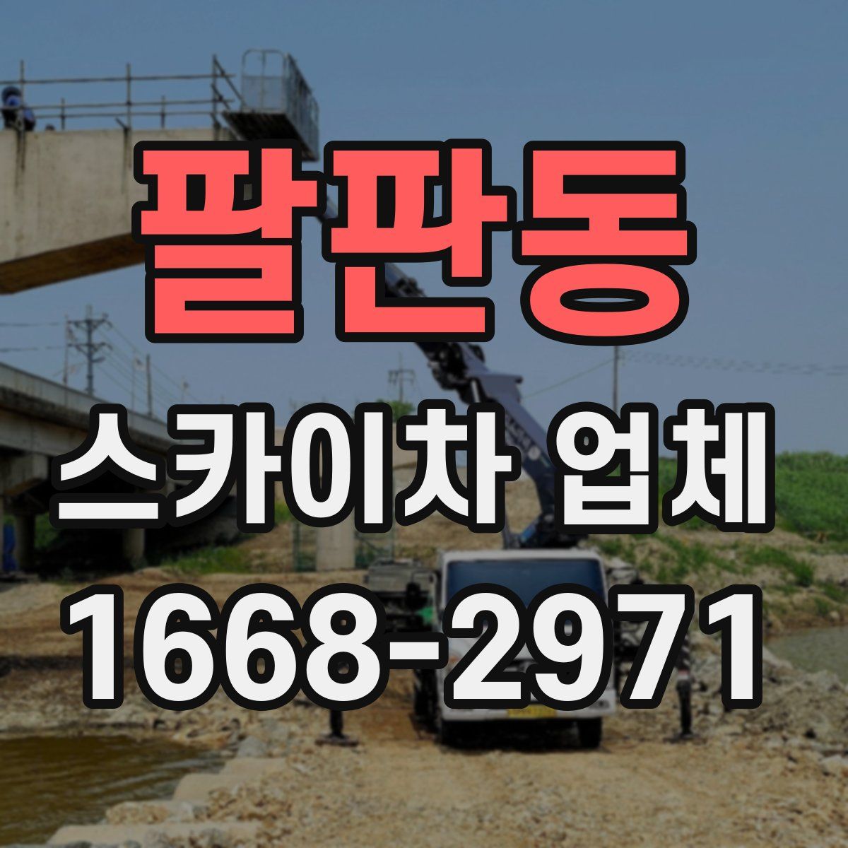 팔판동 스카이차 업체