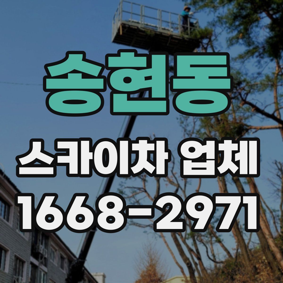 송현동 스카이차 업체