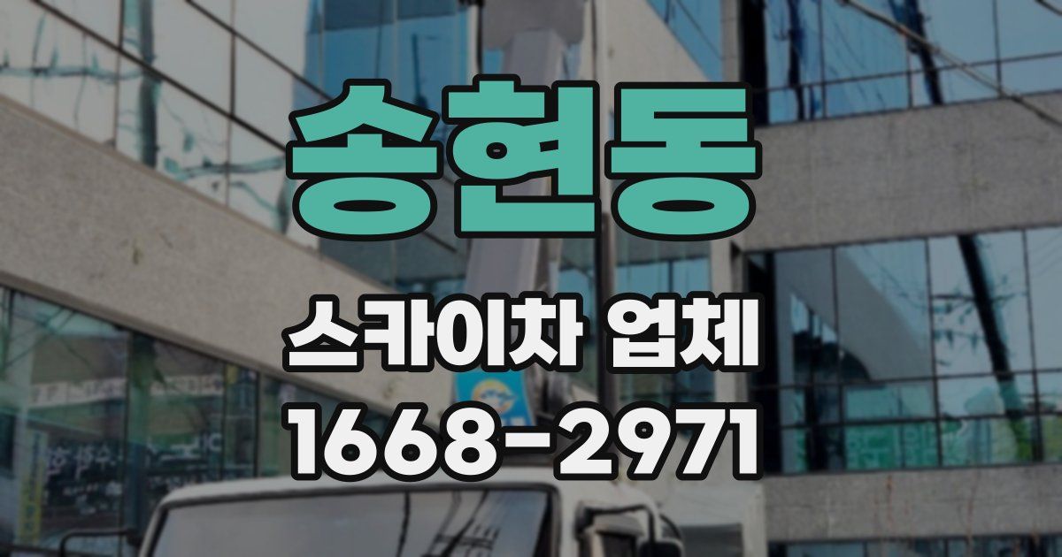 송현동 스카이차 업체