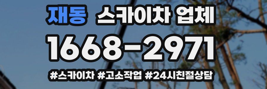 재동 스카이차 업체