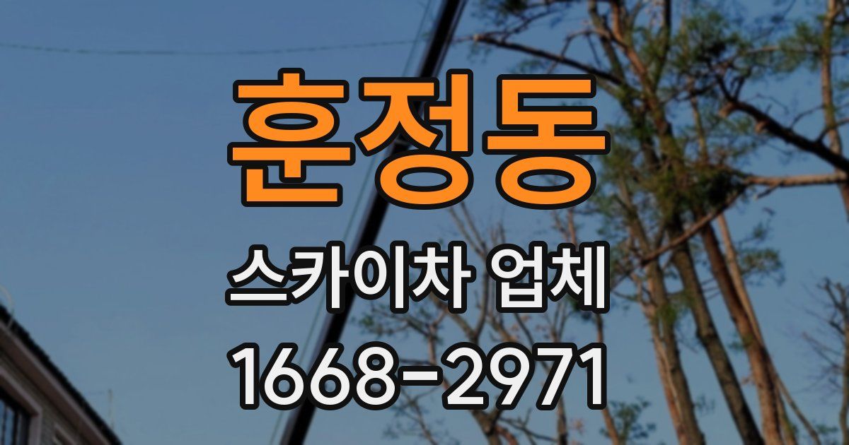 훈정동 스카이차 업체