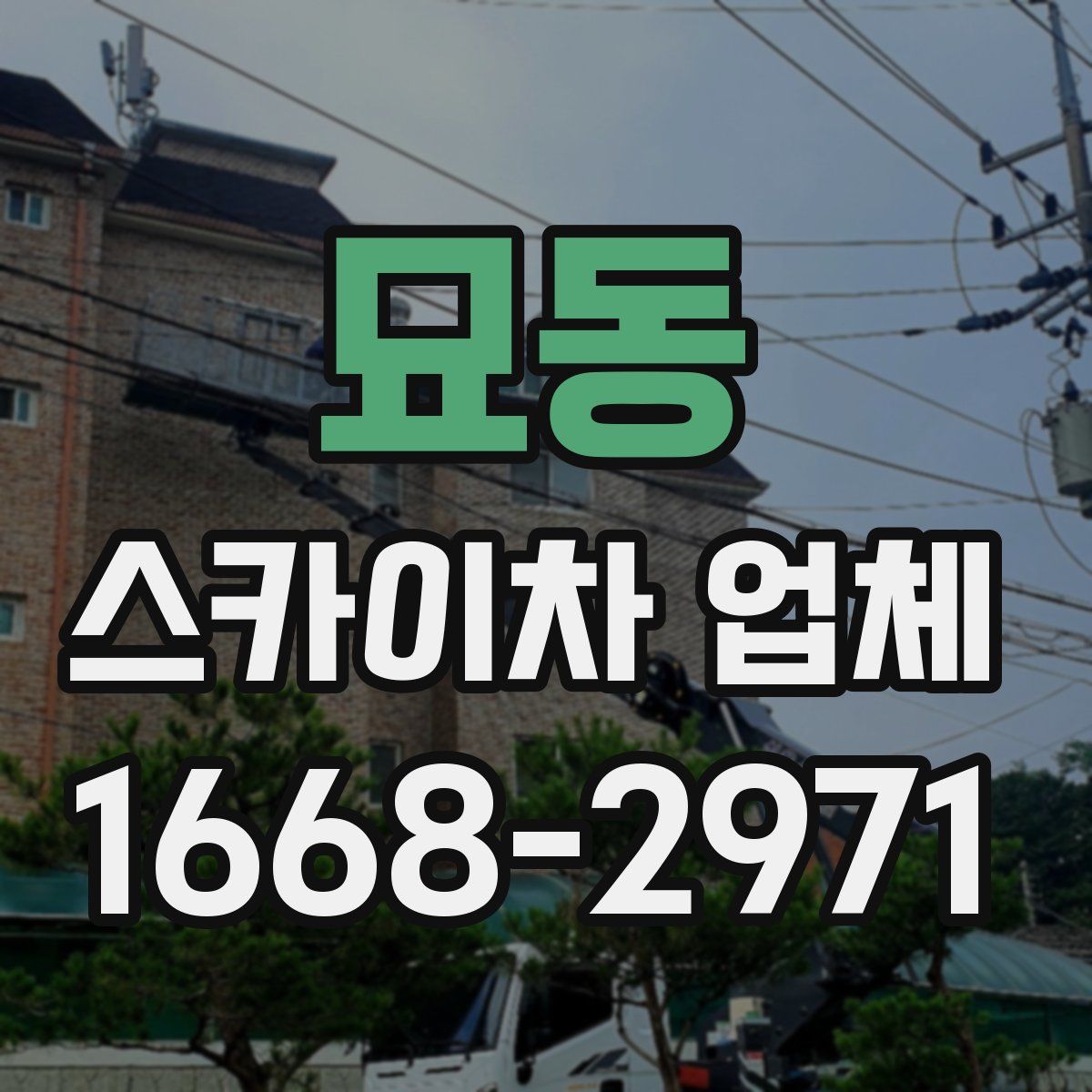 묘동 스카이차 업체