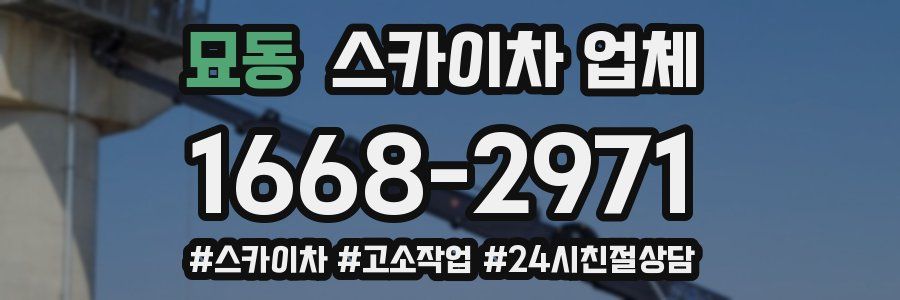 묘동 스카이차 업체