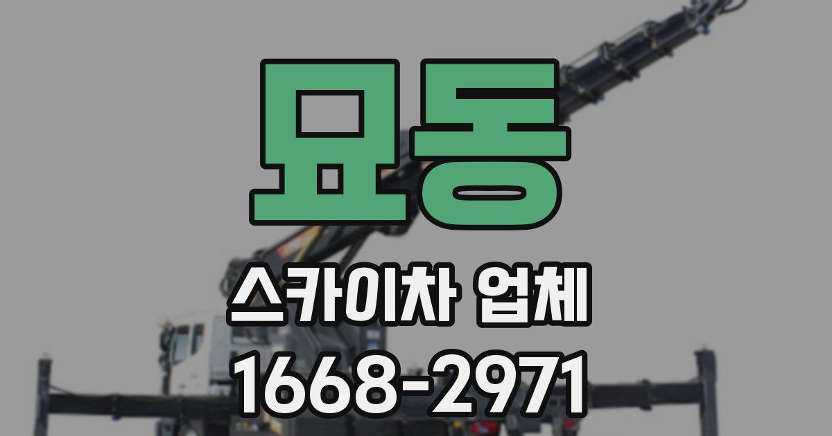 묘동 스카이차 업체
