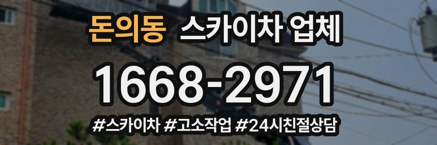 돈의동 스카이차 업체