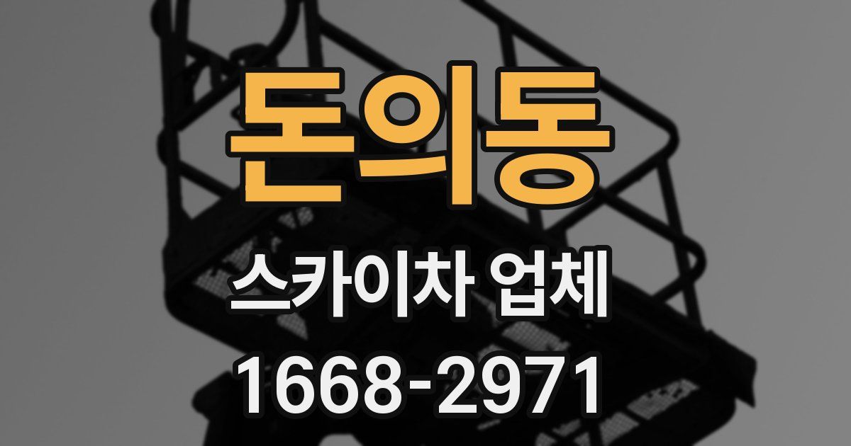 돈의동 스카이차 업체