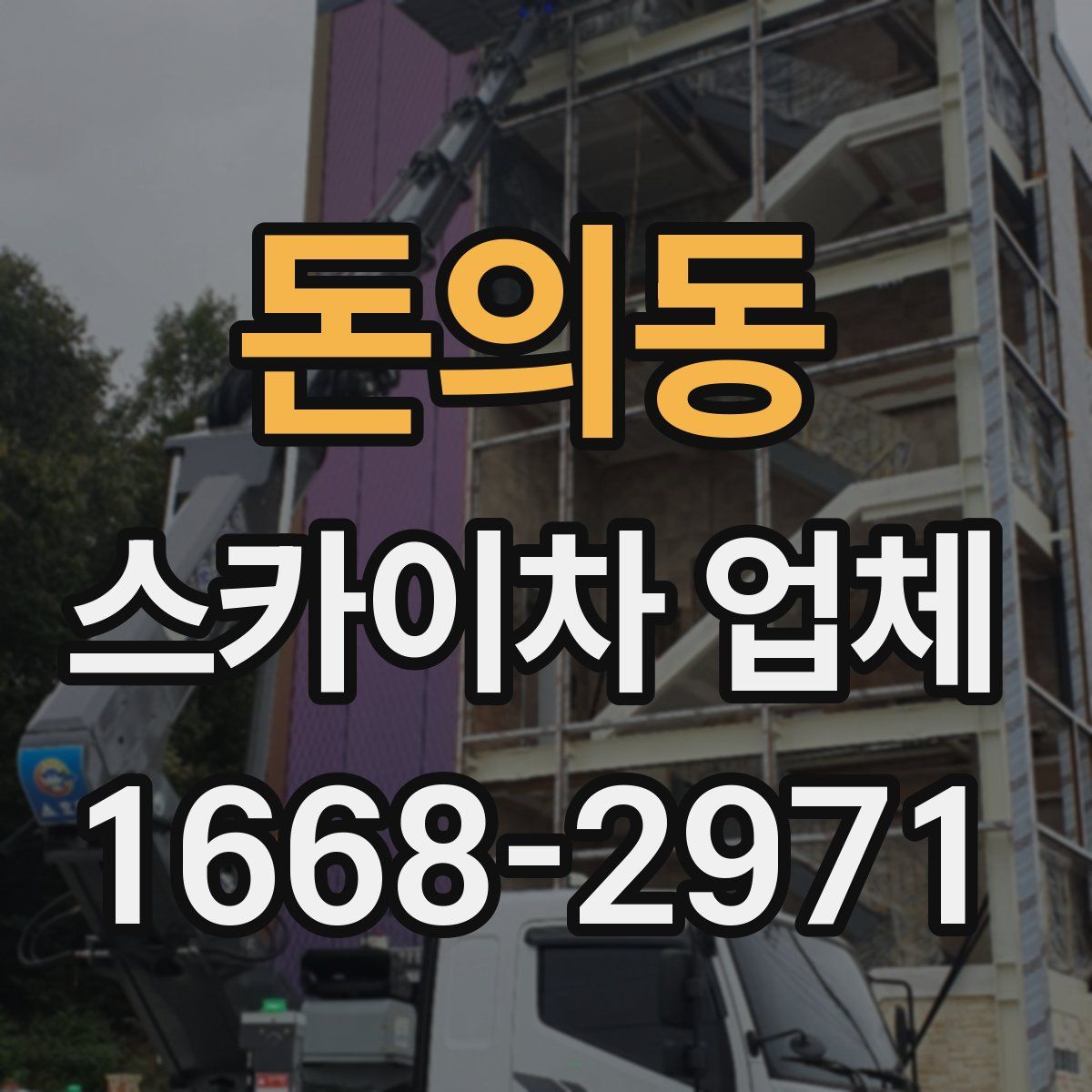 돈의동 스카이차 업체