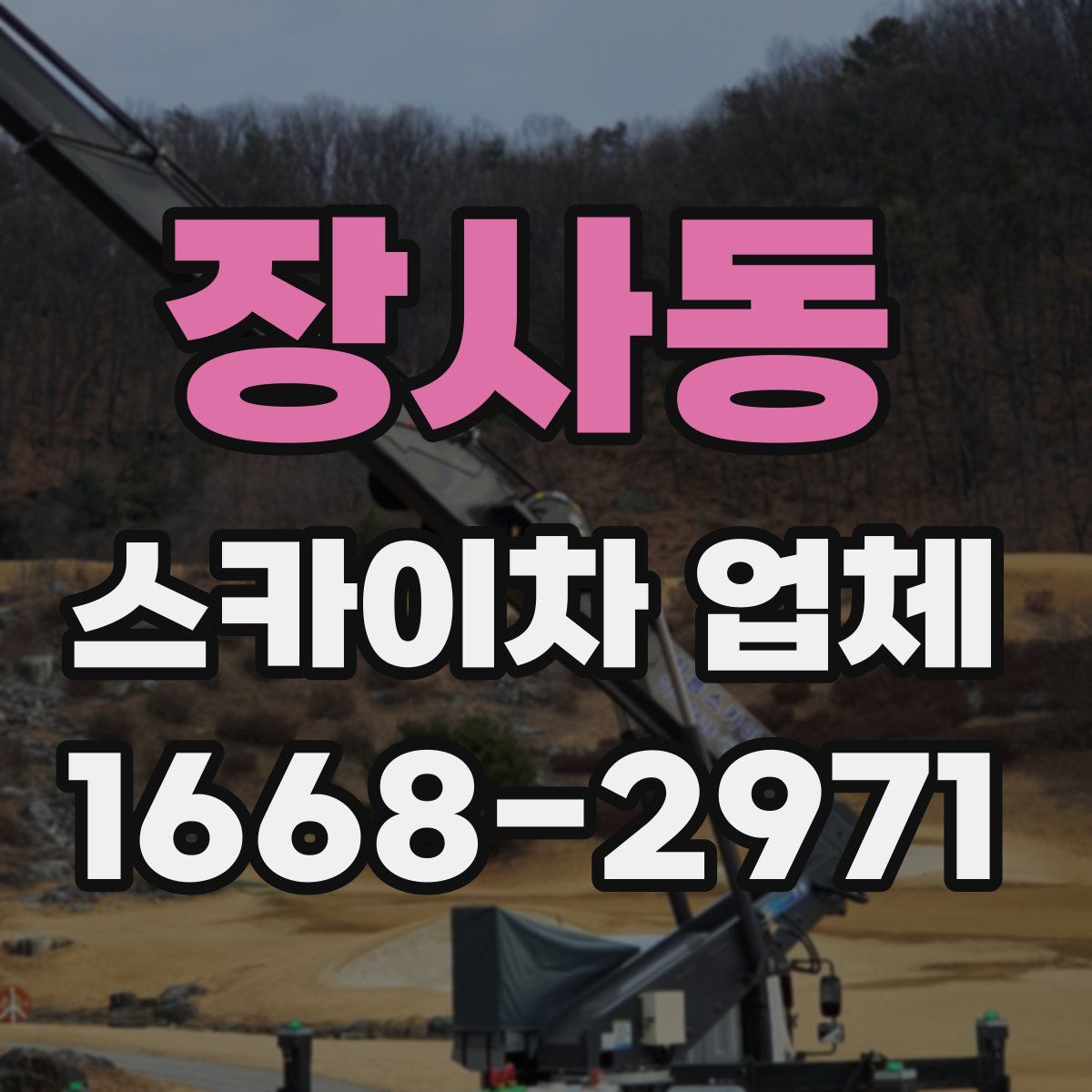 장사동 스카이차 업체