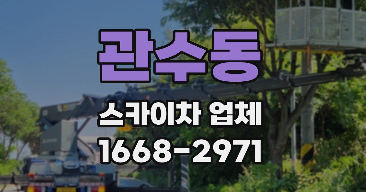 관수동 스카이차 업체