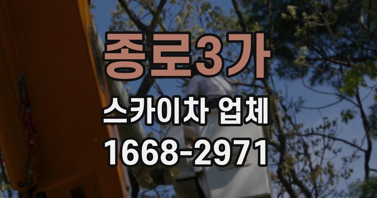 종로3가 스카이차 업체