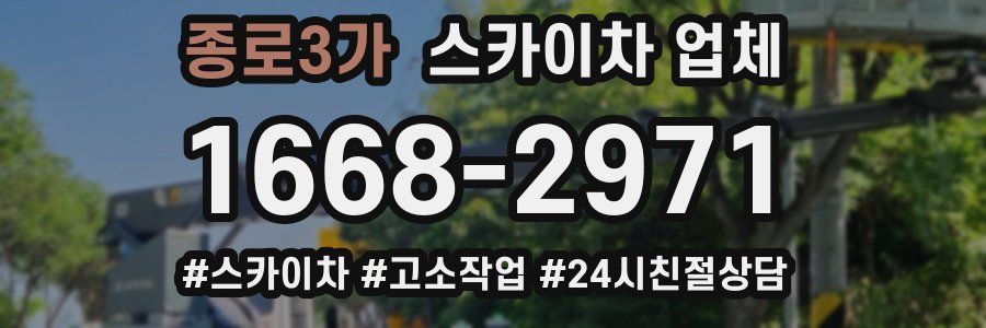 종로3가 스카이차 업체