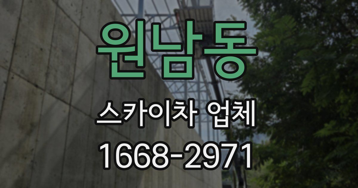 원남동 스카이차 업체