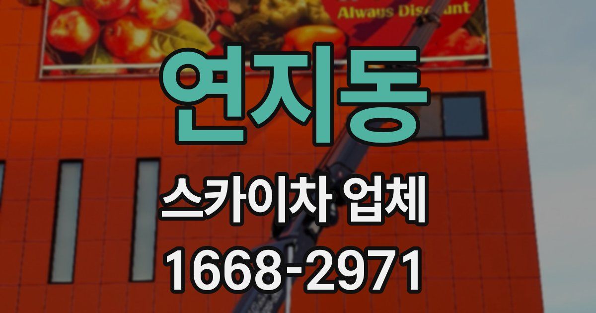 연지동 스카이차 업체