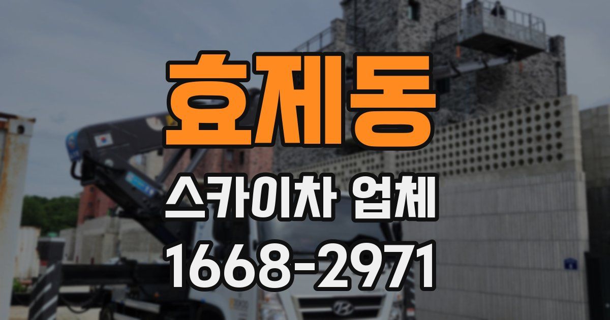 효제동 스카이차 업체