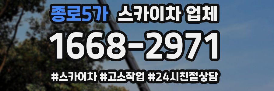종로5가 스카이차 업체