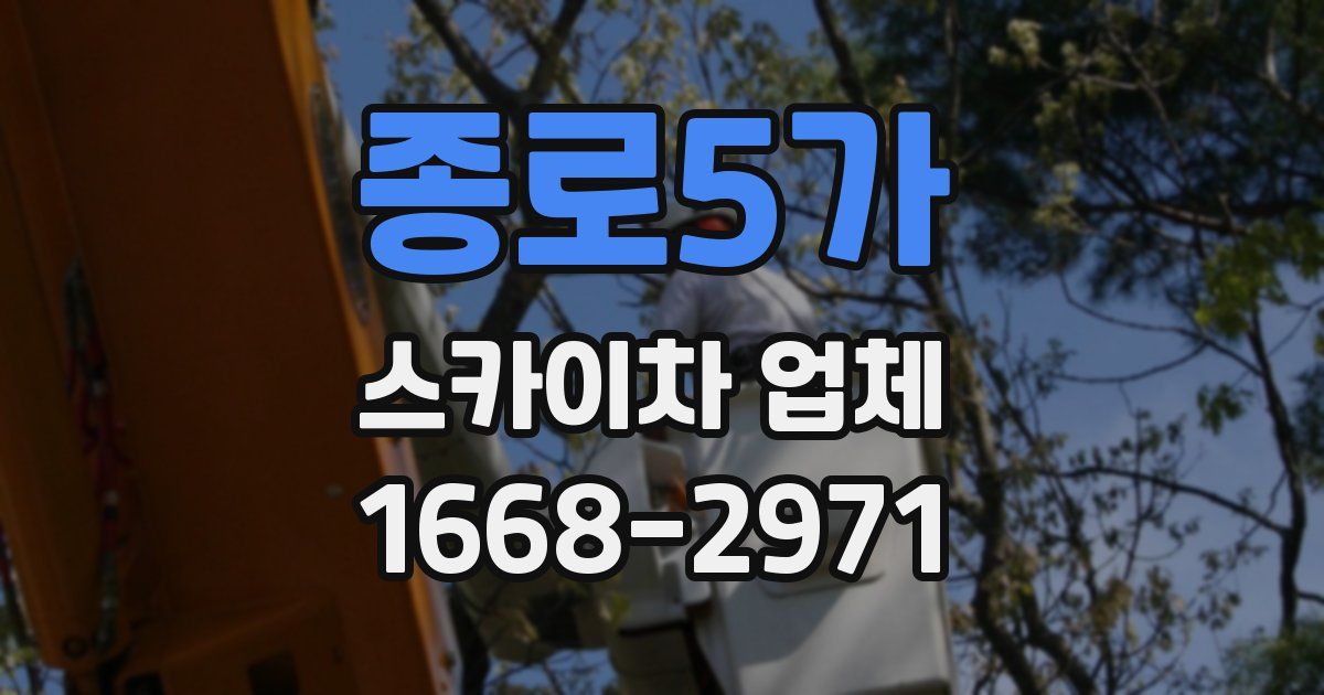 종로5가 스카이차 업체