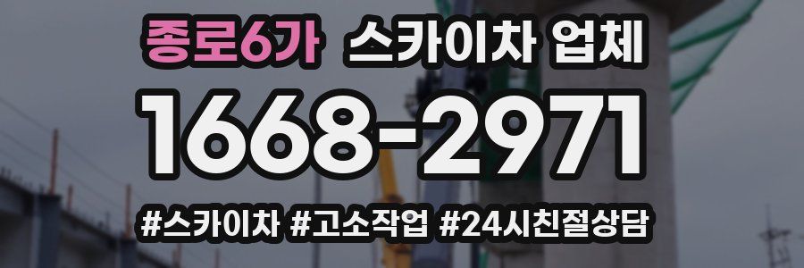 종로6가 스카이차 업체