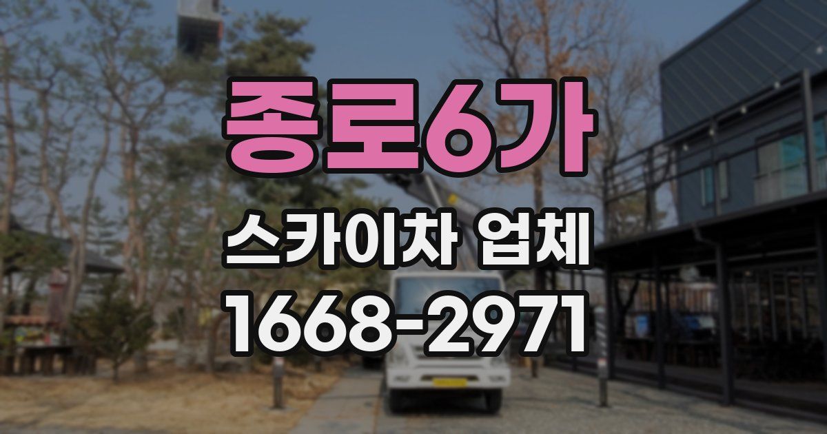 종로6가 스카이차 업체